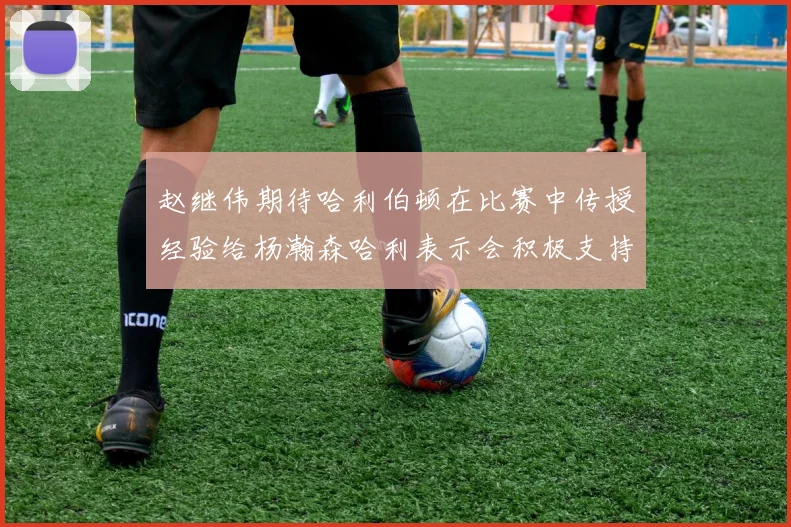 赵继伟期待哈利伯顿在比赛中传授经验给杨瀚森哈利表示会积极支持