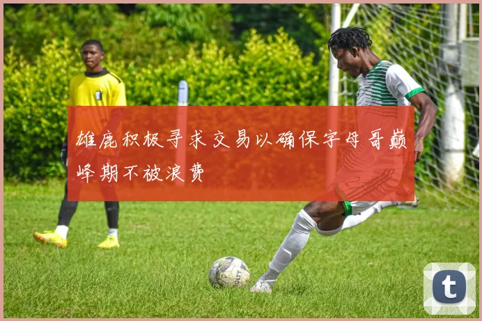 雄鹿积极寻求交易以确保字母哥巅峰期不被浪费